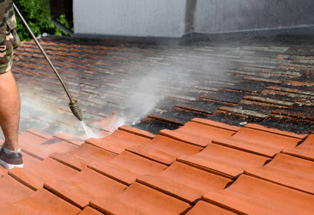 Best Pressure Washing Contractors  in Minneola, FL