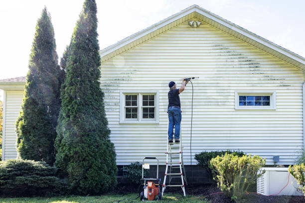 Best Roof Pressure Washing  in Minneola, FL